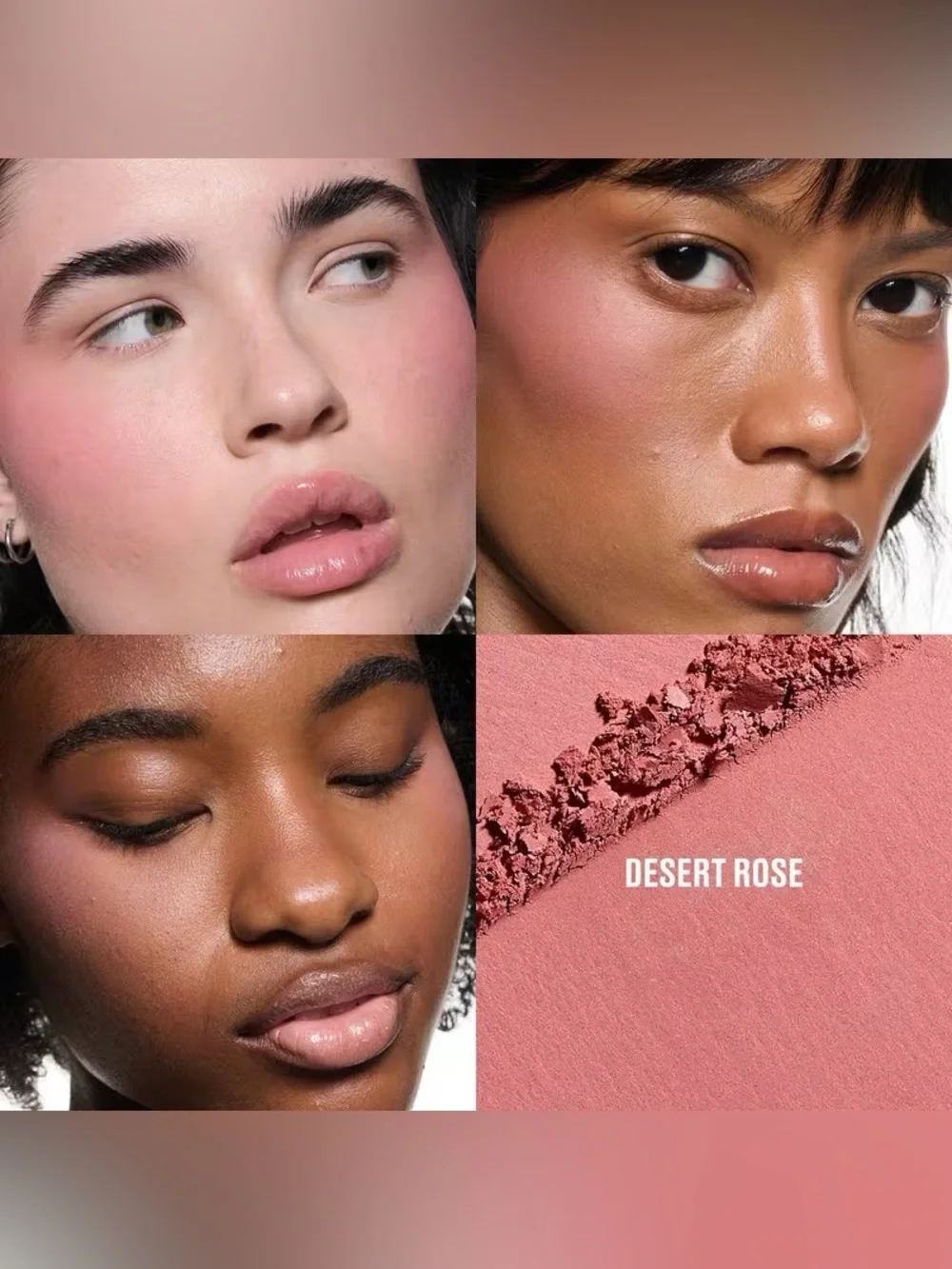 NEW✅ MAC Cosmetics • Skinfinish Colourstruck Blush • Desert Rose • New in Box